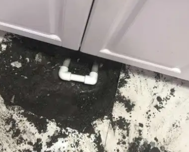 五莲查漏水哪家好